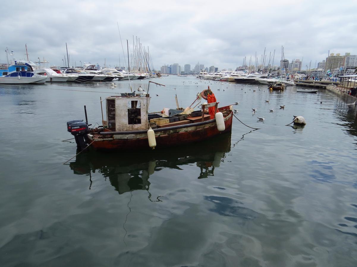 Los Sargos Punta del Este Eksteriør billede